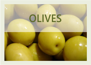 Banner olive