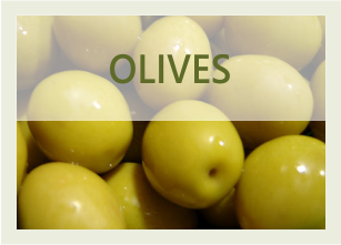 banner olive