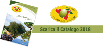 Tasto per scaricare Catalogo