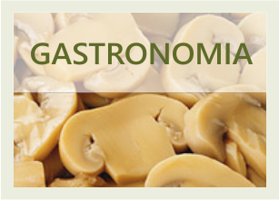 banner gastronomia